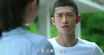 余罪在线观看免费2,在线免费观看，揭秘犯罪世界的正义之战  第1张